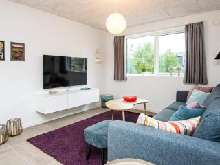 Luxury Spa Retreat in Romo - 4