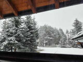Apartman na brdu - Zlatibor - 9