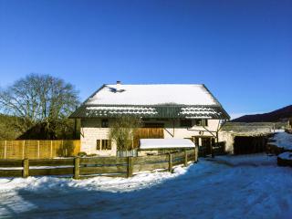 La luge - Cormaranche-en-Bugey - 8