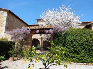 Arco al Poggio - Arceno Rentals Club - San Gusmè - 3