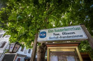 Gasthof Altes Hammerherrenhaus - Übelbach - 5