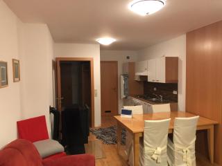 Ferienwohnungen direkt an der Skipiste - 3