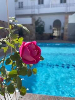 Spirit Luxor Luxury - Luxor - 4