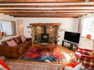 Greffyn - Betws-y-coed - 8