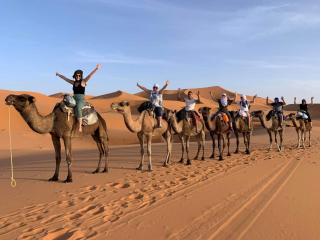 Traveler In Morocco camp - Merzouga - 7