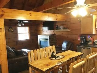 Dollywood-Newly Renovated Dancing Bear 4 - 3