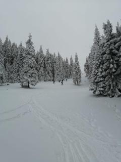 Apartament cu 3 camere - 2