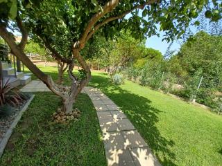 Seaside house for 8 close to Olympia & the beach - Levendokhórion - 6