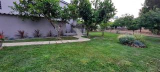 Seaside house for 8 close to Olympia & the beach - Levendokhórion - 5