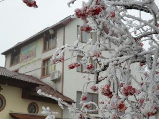 Ворота Карпат - 3