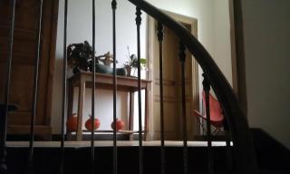 Le Dojo du Plessis - 3