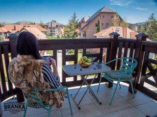 Branka Apartman Zlatibor - 1