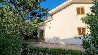 I Tigli - Casalbordino - 1