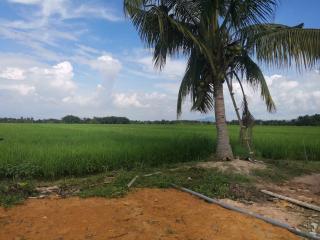 HomeStay Abah Alor Pongsu - - 5