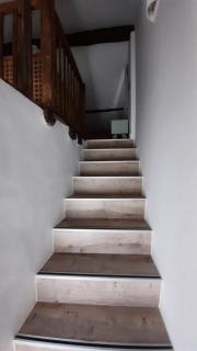 La Encina del Abuelo - 2