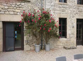 Chambres d'Hôtes Le Pont - Égletons - 3
