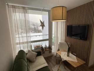HEARTH HILL VIEW APARTMENT - Ustroń - 4