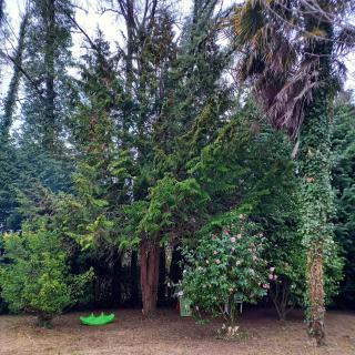 Aux 4 mousquetaires Athos - 2