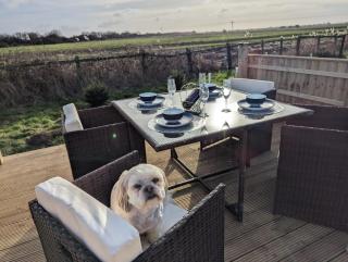 Lighthouse Lodge - Peaceful & Dog Friendly - Sutton-on-Sea - 8