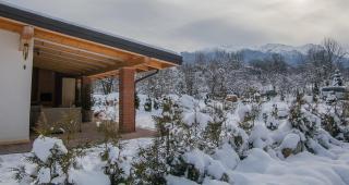 Thomhof Chalets - Bran - 6