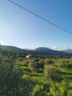 Casa L'ulivo Burgio Nature view - Burgio - 3