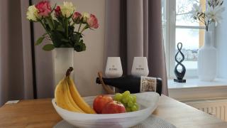 Das Ferienapartment Alexandrine direkt am Pfaffenteich mit eigenem Parkplatz - Schwerin - 3