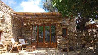 The Wise Olive Tree - Raches - 0