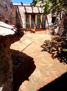 The Wise Olive Tree - 9