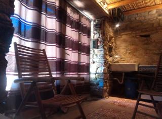 The Wise Olive Tree - Raches - 2