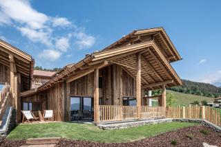 DILIA Chalets & Apartments - Mühlbach - 3