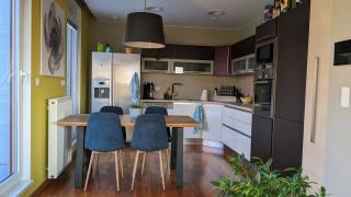 Luxurious villa-apartment with spacious terrace - Prague - 8