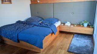 Luxurious villa-apartment with spacious terrace - Prague - 4