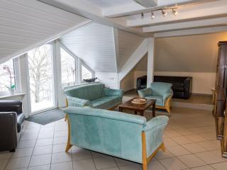 Apartment in Sauerland with sauna - Erndtebrück - 2
