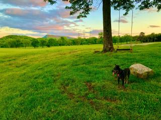 Fryars' Green at Tennessee RiverPlace - 5