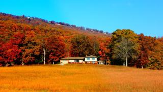 Fryars' Green at Tennessee RiverPlace - Chattanooga - 9