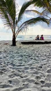 Elna's Haven Diani Palms - 5min walk to the beach, serene and culinary services - 4