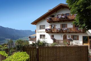 Engadiner Apartments & Wines - Montagna - 3