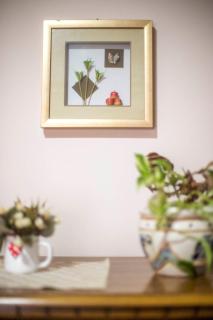 Apartman Bojana - Vrnjačka Banja - 3