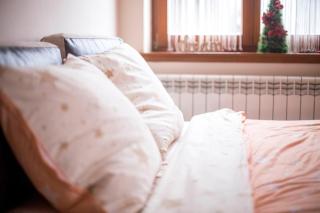 Apartman Bojana - Vrnjačka Banja - 1