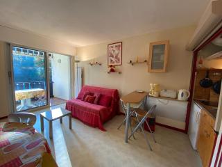 les goelands - Saint-Georges-de-Didonne - 5