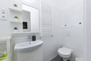 2 bedroom flat in Damjanich str., Hirsch - Budapest - 7