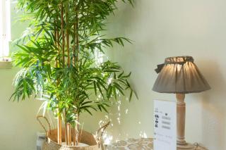 Beachome4u - Carcavelos - 2