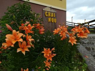 Pensiunea Crai Nou - 3