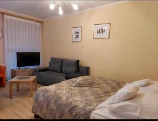 Reksor - Colberga - 6