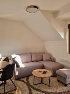 Goga Apartmani - Zlatibor - 3