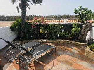 Taurus in SolymarCalma - Costa Calma - 0