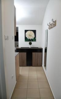 Siena - Novi Sad - 2