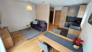 Ferienwohnung Ida inkl SommerCard - Lofer - 9