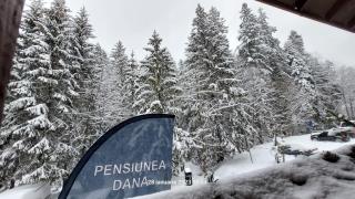 Pensiunea DANA - Predeal - 3