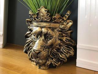 Bon Blois, cosy et charmant face à la Loire - 7